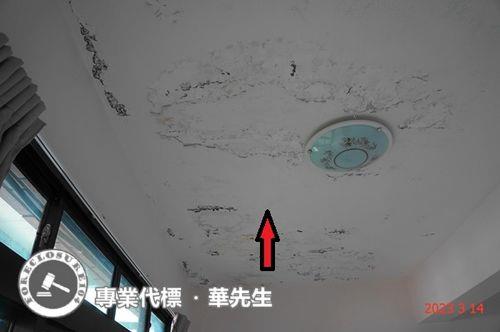 桃園平鎮法拍屋拍賣-2