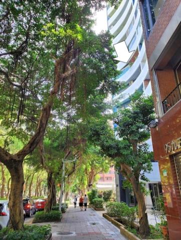 大安區法拍屋法拍-7