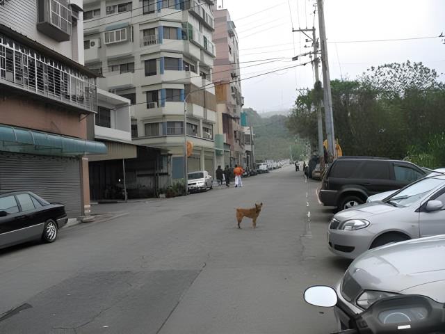 桃園區法拍屋法拍-4