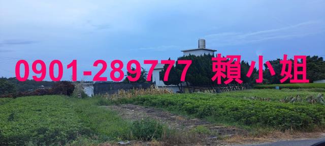 通霄拍賣法拍屋-5