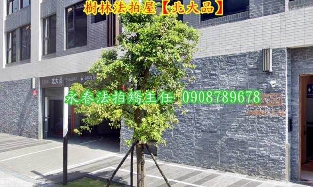 新北樹林法拍屋法拍-2