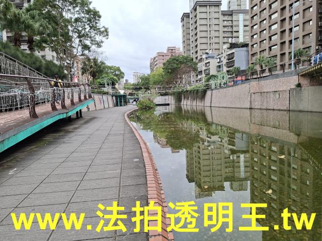 新北法拍屋法拍-5