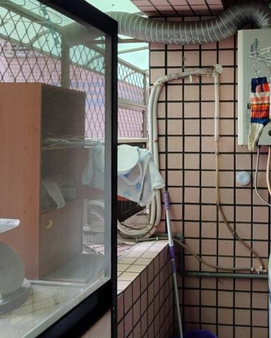 新北新莊法拍屋法拍-3