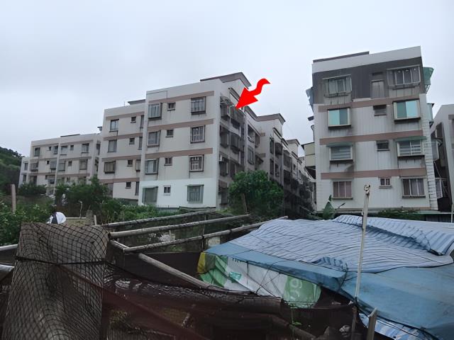 中正區法拍屋法拍-1