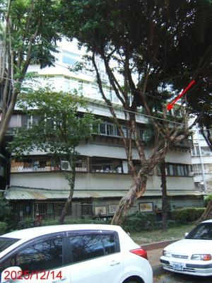 台北士林法拍屋法拍-1