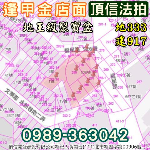 台中西屯法拍屋法拍-3