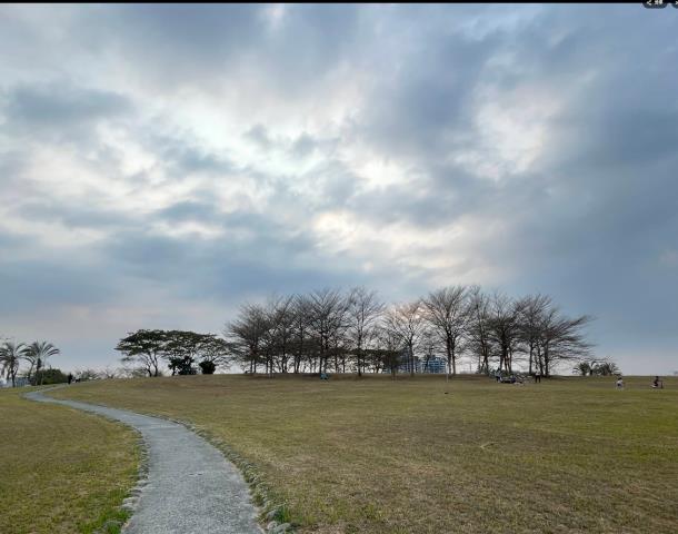 高雄法拍法拍屋-2