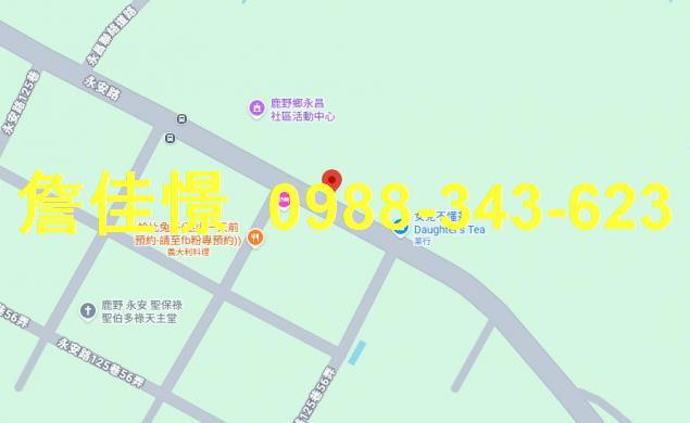 鹿野拍賣法拍屋-4