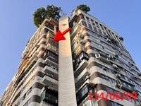 台北法拍屋法拍-4