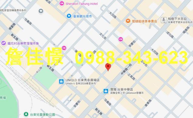 台東法拍屋法拍-1