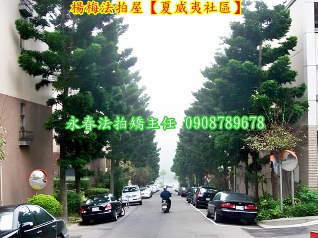 桃園法拍屋拍賣-7