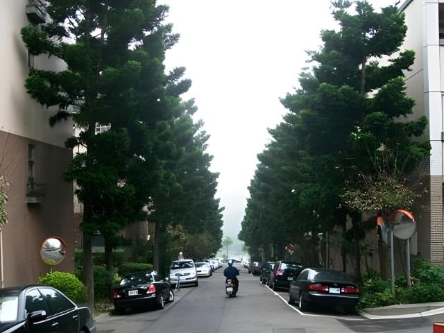 桃園法拍屋法拍-6