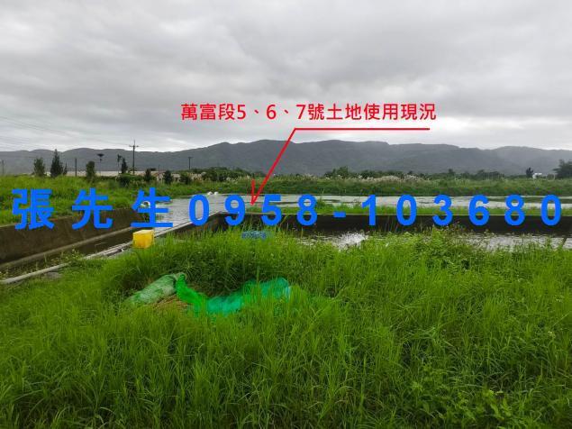 壽豐法拍法拍屋-5