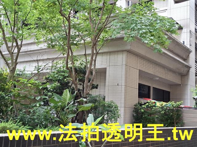 松山法拍屋法拍-6