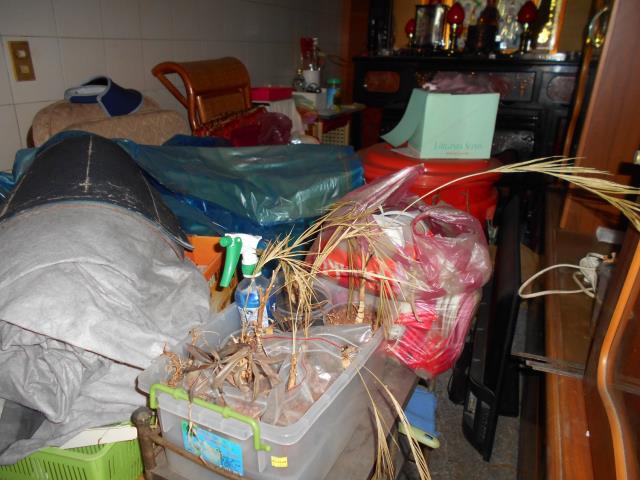 新北法拍法拍屋-2