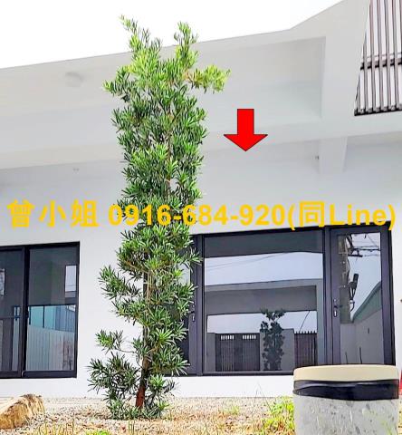 屏東潮州法拍法拍屋-2