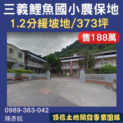 苗栗法拍農地-0