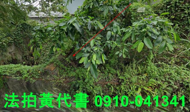 頭城法拍建地-0