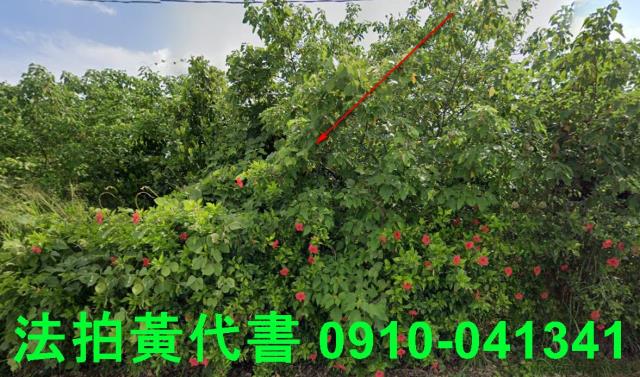台南法拍農地-0