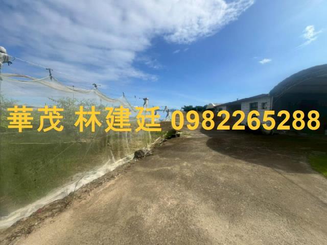 玉井法拍農地-0