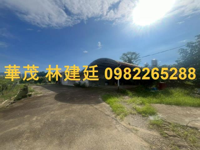 玉井法拍農地-1