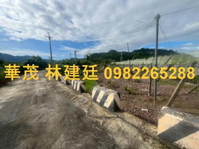 玉井法拍農地-2