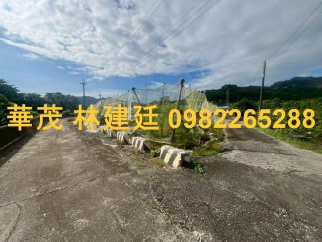 玉井法拍農地-3