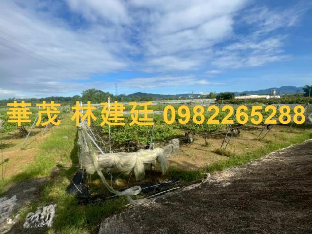 玉井法拍農地-0