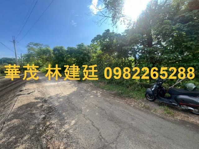 玉井法拍農地-1