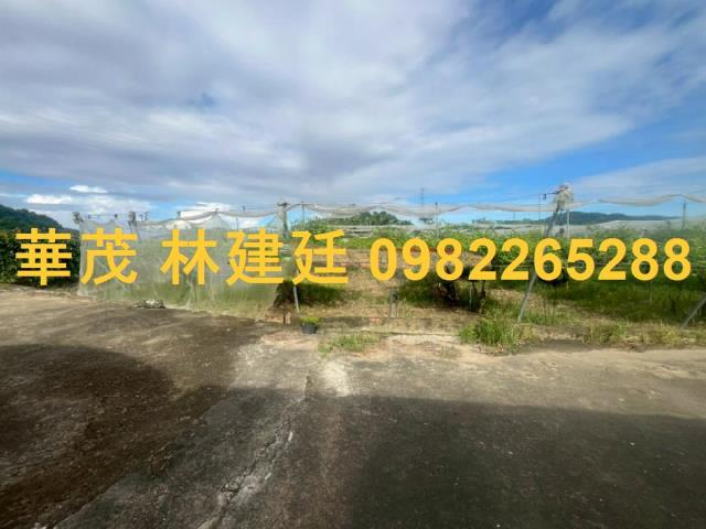 玉井法拍農地-2