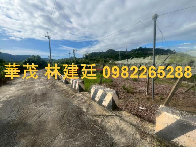 玉井法拍農地-3