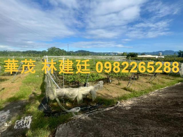 玉井農地法拍-0