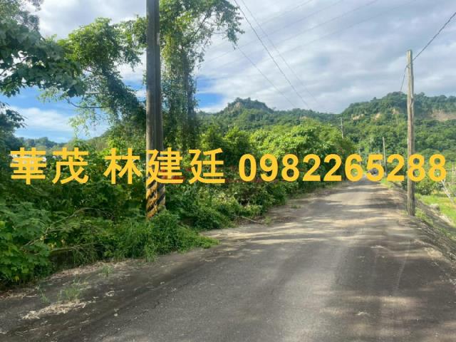 玉井農地法拍-1