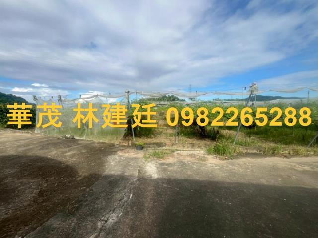 玉井農地法拍-2