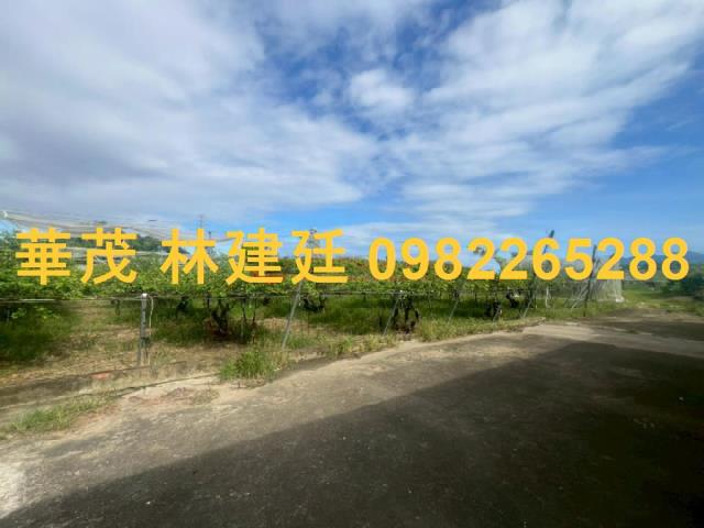 玉井農地法拍-3