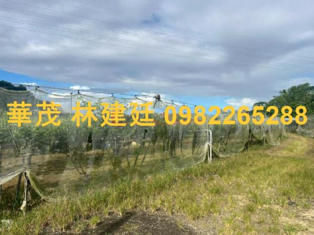 玉井農地法拍-4