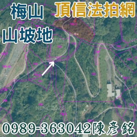 梅山拍賣農地-1