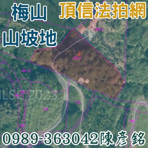 梅山拍賣農地-3