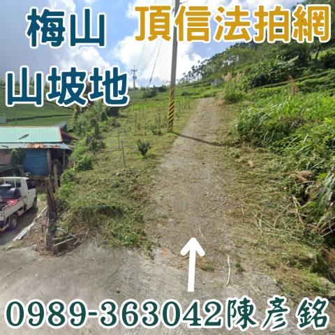 嘉義梅山農地法拍-0