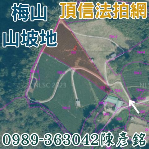 嘉義梅山農地法拍-1