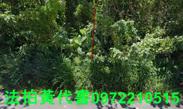 安定法拍農地-7