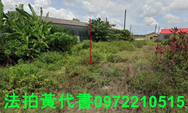 台南學甲法拍建地-2