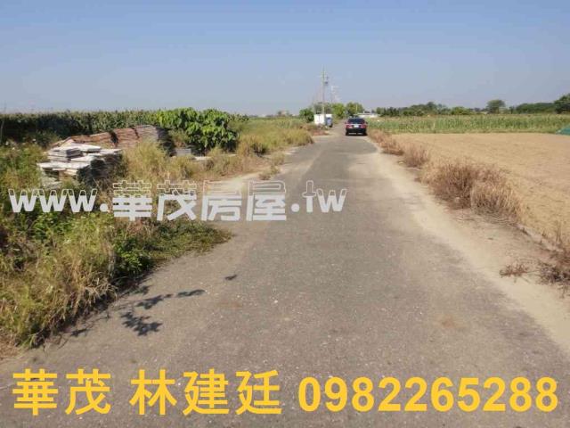 將軍法拍農地-11