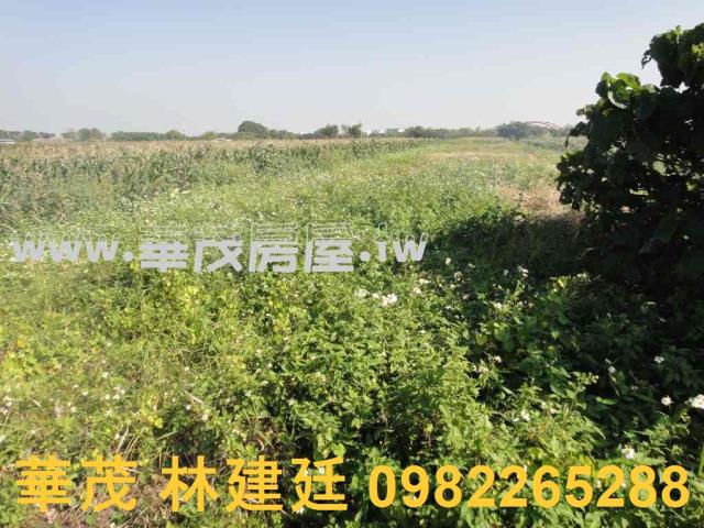 將軍法拍農地-2