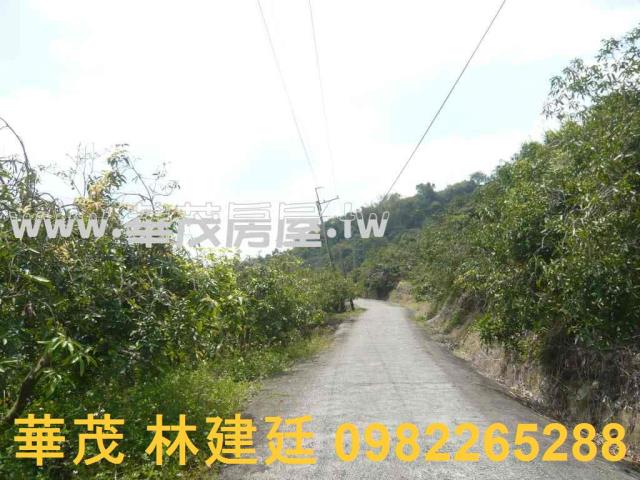 台南玉井農地法拍-0