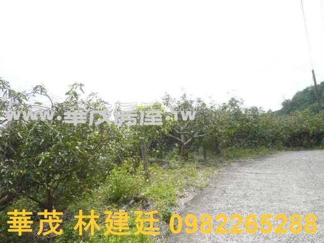 台南玉井農地法拍-2