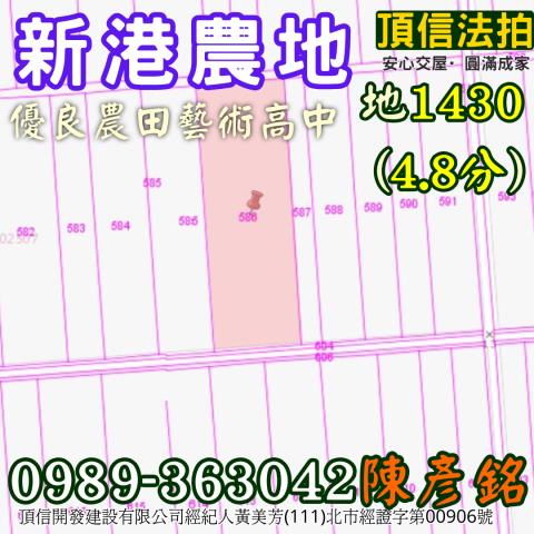 新港法拍農地-3