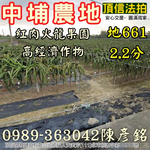 中埔法拍農地-1