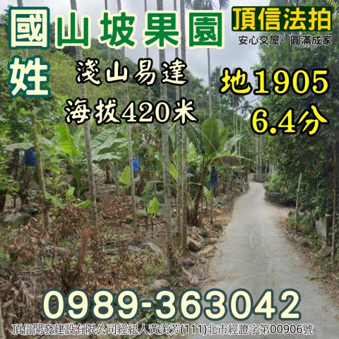 南投國姓法拍農地-1