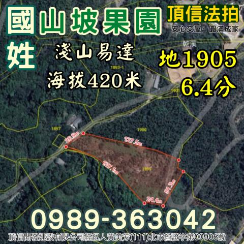 南投國姓法拍農地-2